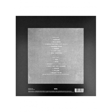 Bebe Rexha - Expectations  (0093624840930) виниловая пластинка - фото 2