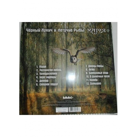 Черный Лукич Летучие Рыбы - Мария (Концертник) (8893971084276) виниловая пластинка - фото 13
