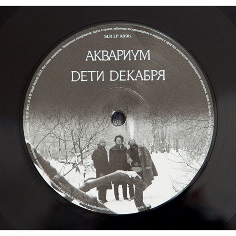 Аквариум - Дети Декабря (4640004135665) виниловая пластинка - фото 14