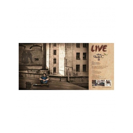Чиж &amp; Сo - Live (4640004137034) виниловая пластинка - фото 3