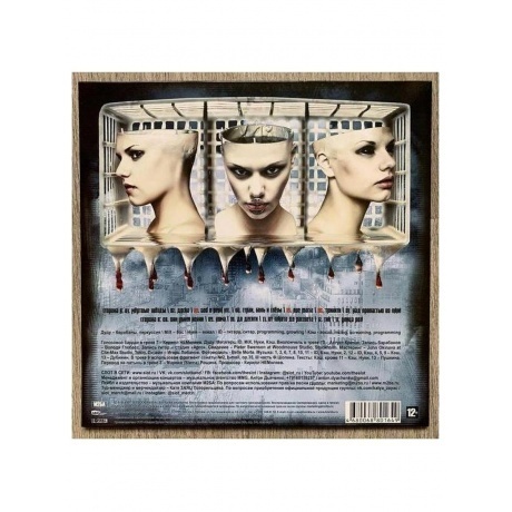 Слот - Тринити (4680068801649) виниловая пластинка - фото 2