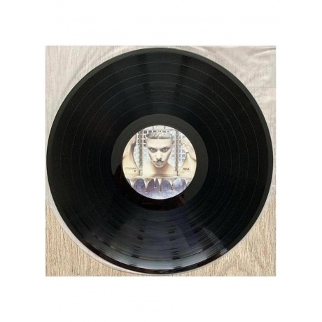 Слот - Тринити (4680068801649) виниловая пластинка - фото 8