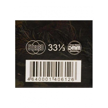 Черный Кофе - Леди Осень (4640001406126) виниловая пластинка - фото 4