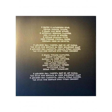 Ляпис Трубецкой - Рабкор (4620107933221) виниловая пластинка - фото 5