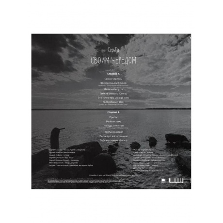 Серьга - Своим Чередом (4620107935089) виниловая пластинка - фото 2