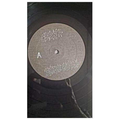 Серьга - Тебя не сломать (4640219971959) виниловая пластинка - фото 4