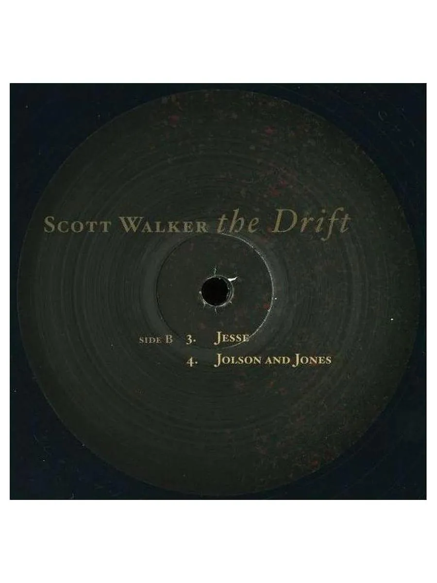 Scott Walker - The Drift (0652637260311) виниловая пластинка - фото 4