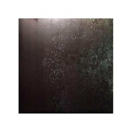 Scott Walker - The Drift (0652637260311) виниловая пластинка - фото 10