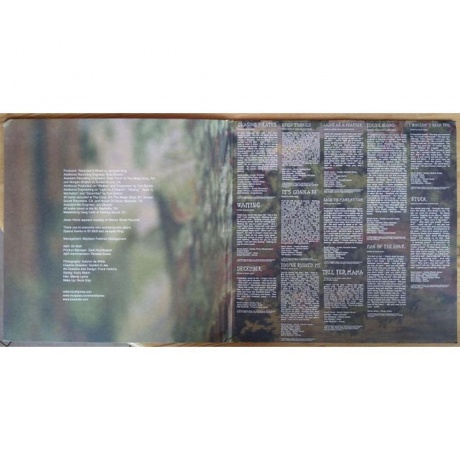 Norah Jones - The Fall (5099969928611) виниловая пластинка - фото 2