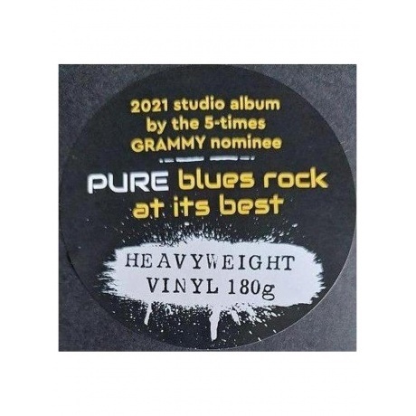 Robben Ford - Pure (4029759169321) виниловая пластинка - фото 7