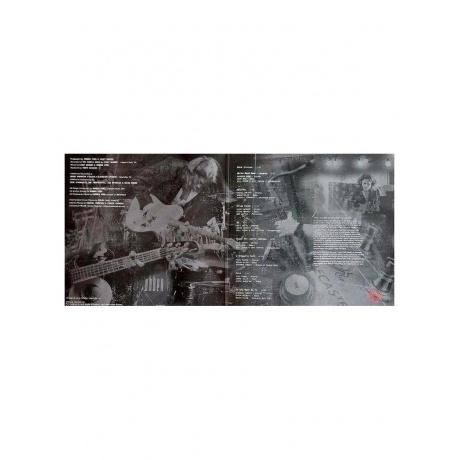 Robben Ford - Pure (4029759169321) виниловая пластинка - фото 8