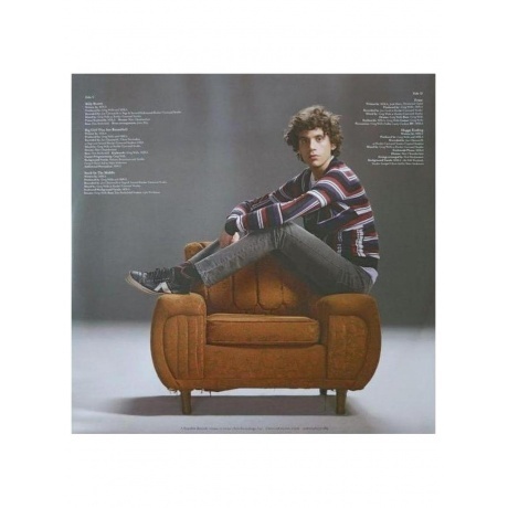 Mika - Life In Cartoon Motion (0602465571585) виниловая пластинка - фото 11