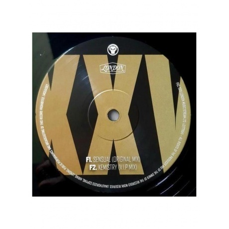 Goldie - Timeless (5060555214722) виниловая пластинка - фото 10