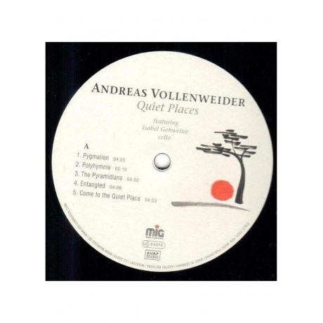 Andreas Vollenweider - Quiet Places (0885513022615) виниловая пластинка - фото 3