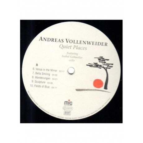 Andreas Vollenweider - Quiet Places (0885513022615) виниловая пластинка - фото 4