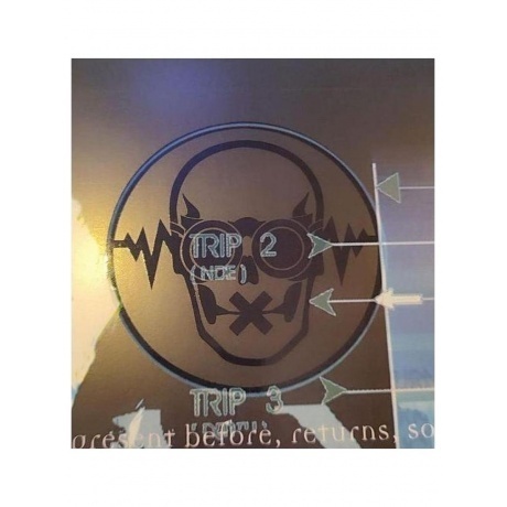 Pain - Dancing With The Dead (coloured) (4065629718015) виниловая пластинка - фото 4