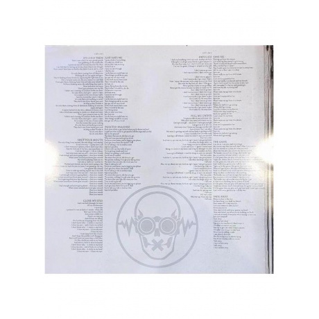 Pain - Nothing Remains The Same (coloured) (4065629717919) виниловая пластинка - фото 4