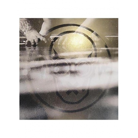 Pain - Nothing Remains The Same (coloured) (4065629717919) виниловая пластинка - фото 6