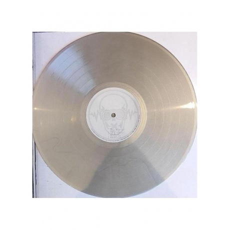 Pain - Nothing Remains The Same (coloured) (4065629717919) виниловая пластинка - фото 8