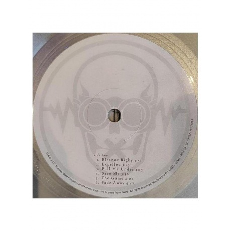 Pain - Nothing Remains The Same (coloured) (4065629717919) виниловая пластинка - фото 10