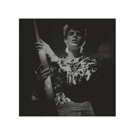 

David Bowie - Rock 'N' Roll Star! (5054197623554) виниловая пластинка