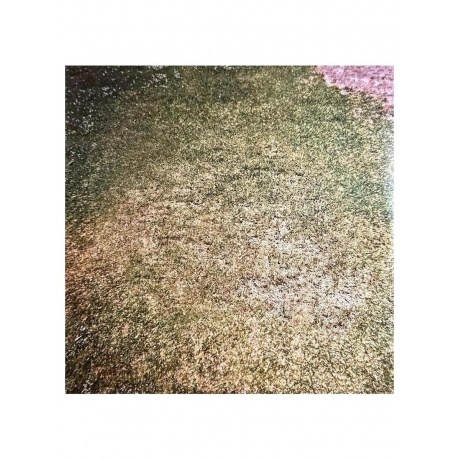 Haim - Days Are Gone (coloured) (0602445618415) виниловая пластинка - фото 12