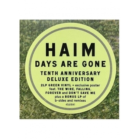 Haim - Days Are Gone (coloured) (0602445618415) виниловая пластинка - фото 15