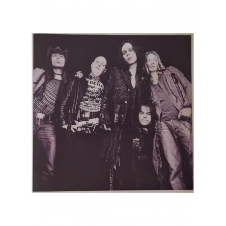 HIM - Deep Shadows And Brilliant Highlights (0198028025614) виниловая пластинка - фото 5