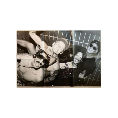 Red Hot Chili Peppers - Unlimited Love (0093624874720) виниловая пластинка - фото 13