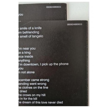 Red Hot Chili Peppers - Unlimited Love (0093624874720) виниловая пластинка - фото 18