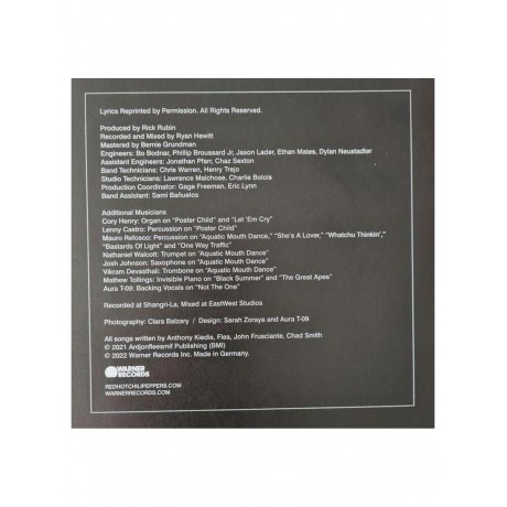 Red Hot Chili Peppers - Unlimited Love (0093624874720) виниловая пластинка - фото 19