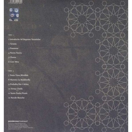 Ludovico Einaudi - Taranta Project (8030482001600) виниловая пластинка - фото 2