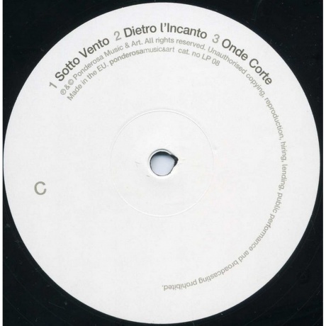 Ludovico Einaudi - Le Onde (8030482001433) виниловая пластинка - фото 4