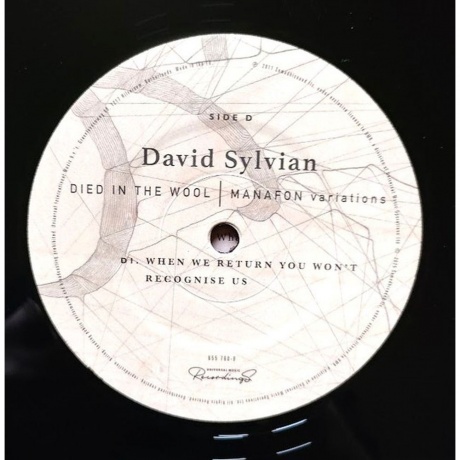 David Sylvian - Died In The Wool (0602465575910) виниловая пластинка - фото 11
