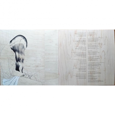 David Sylvian - Died In The Wool (0602465575910) виниловая пластинка - фото 3