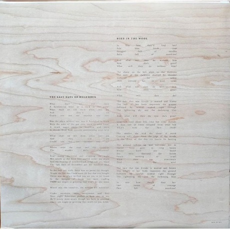 David Sylvian - Died In The Wool (0602465575910) виниловая пластинка - фото 7