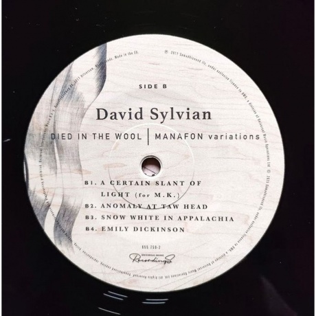David Sylvian - Died In The Wool (0602465575910) виниловая пластинка - фото 9