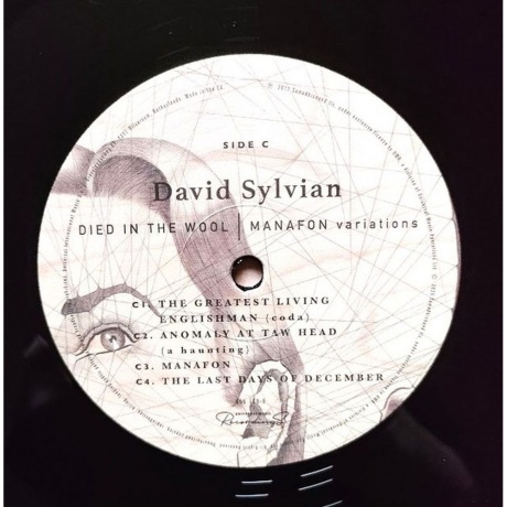 David Sylvian - Died In The Wool (0602465575910) виниловая пластинка - фото 10