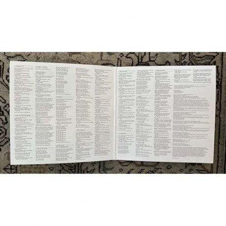 The National - Laugh Track (coloured) (0191400067998) виниловая пластинка - фото 10