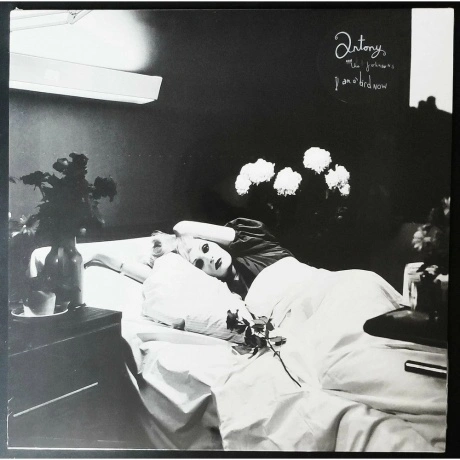 Antony & The Johnsons - I Am A Bird Now (5050159822317) винилова...