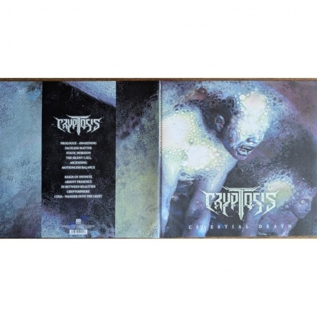 Cryptosis - Celestial Death (0198028504218) виниловая пластинка - фото 3