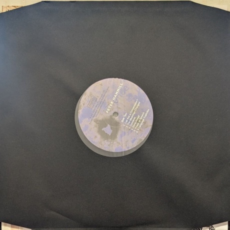 Peter Hammill - Incoherence (5013929488915) виниловая пластинка - фото 5