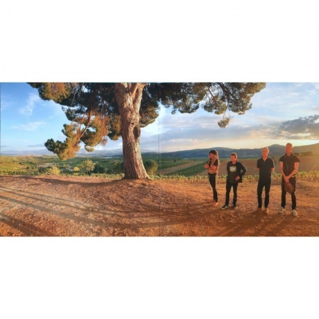 Nada Surf - Never Not Together (4250506834852) виниловая пластинка - фото 2