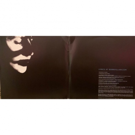 Marilyn Manson - Born Villain (0711297495416) виниловая пластинка - фото 2