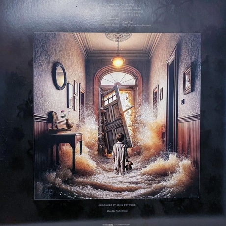 Dream Theater - Parasomnia (Box) (coloured) (0198028324618) виниловая пластинка - фото 3