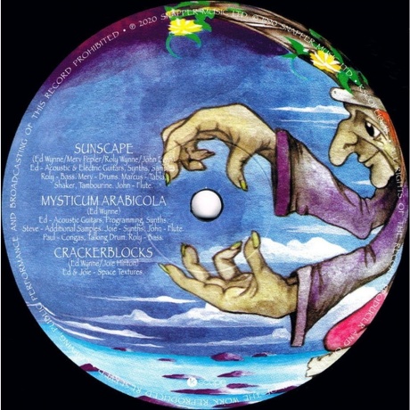 Ozric Tentacles - Erpland (0802644806518) виниловая пластинка - фото 3