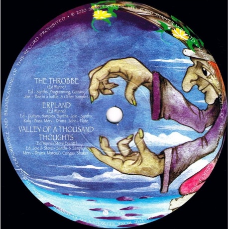 Ozric Tentacles - Erpland (0802644806518) виниловая пластинка - фото 4