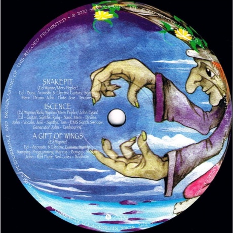 Ozric Tentacles - Erpland (0802644806518) виниловая пластинка - фото 5