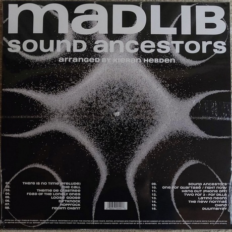 Madlib - Sound Ancestors (0989327004413) виниловая пластинка - фото 2