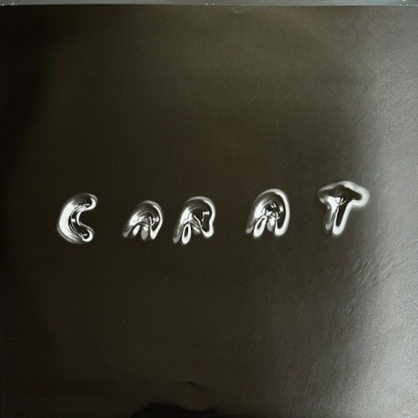 Post Malone - Twelve Carat Toothache (coloured) (0602448015914) виниловая пластинка - фото 10